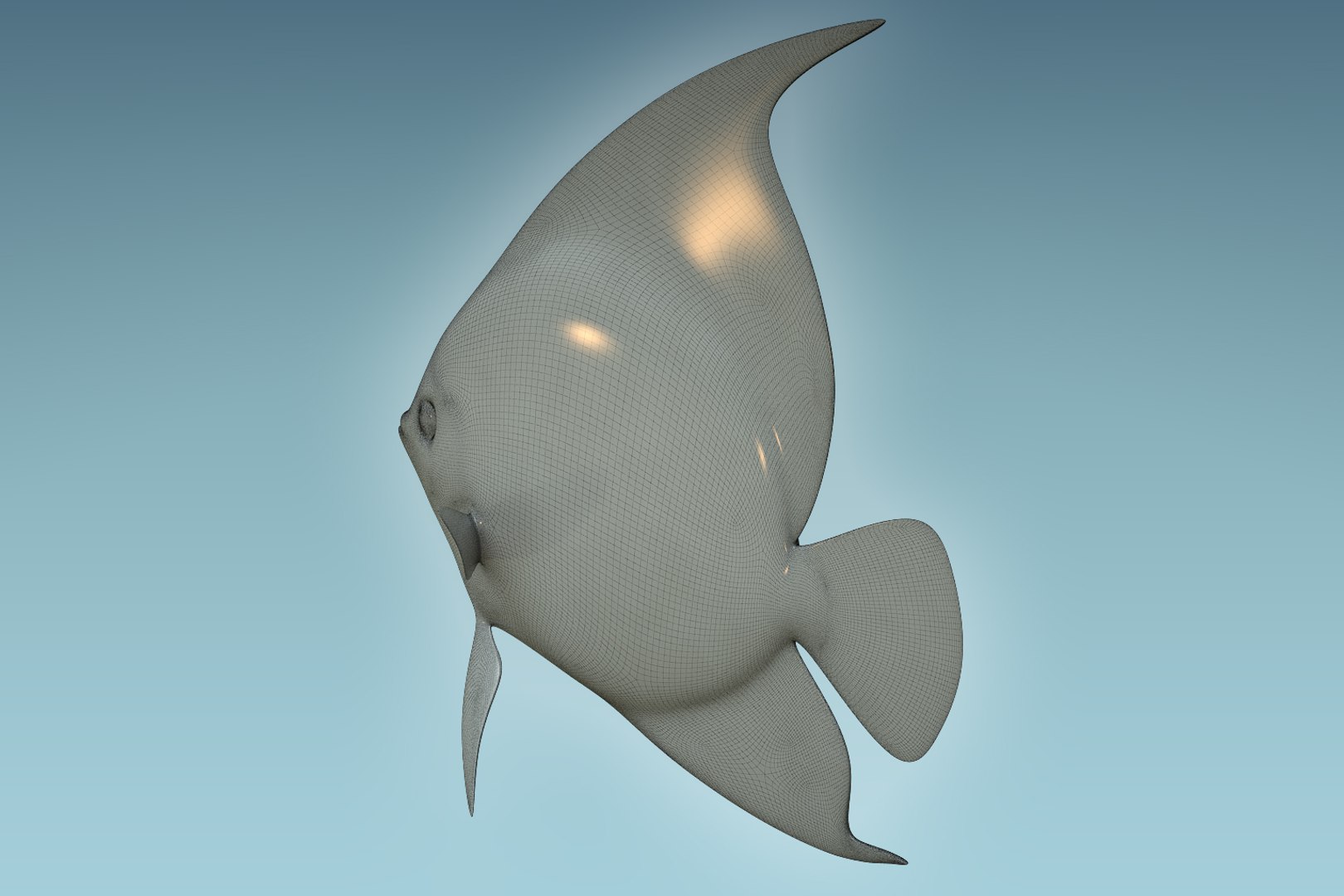 3D model anglefish 12 fish https://p.turbosquid.com/ts-thumb/v2/3xqtAn/FkGFRAxG/08/jpg/1506273918/1920x1080/fit_q87/299b78aa13a683cee22ee67d8b94d661fe43b621/08.jpg