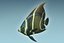 Anglefish 12