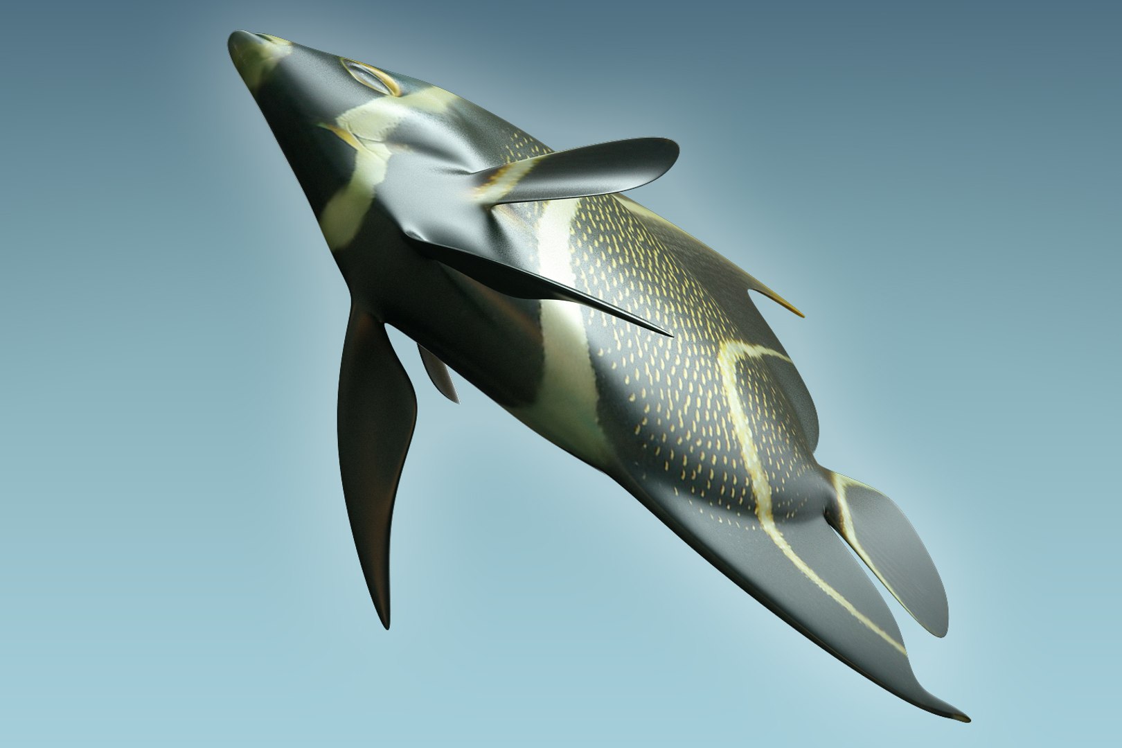 3D model anglefish 12 fish https://p.turbosquid.com/ts-thumb/v2/3xqtAn/UOEUZ1vE/07/jpg/1506273885/1920x1080/fit_q87/cf8ce6bd774632e30bb8cdf2b302a7f3bd8eb575/07.jpg