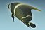 Anglefish 12