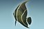 Anglefish 12