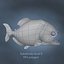 lowpoly Piranha