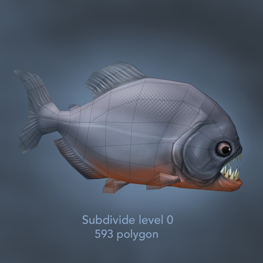 3d piranha fish model https://p.turbosquid.com/ts-thumb/v2/7IlxG2/mXxYOykW/view3/jpg/1394596847/1920x1080/fit_q87/4eaa0fa6d9ce54826ea1a8ccf4c8eb8b83b5b15b/view3.jpg