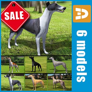 greyhound dogs 3d 3ds