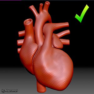heart mesh 3D model