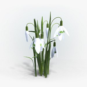 3D Snowdrop model