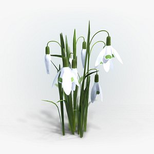 Snowdrop
