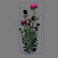 Flor 068