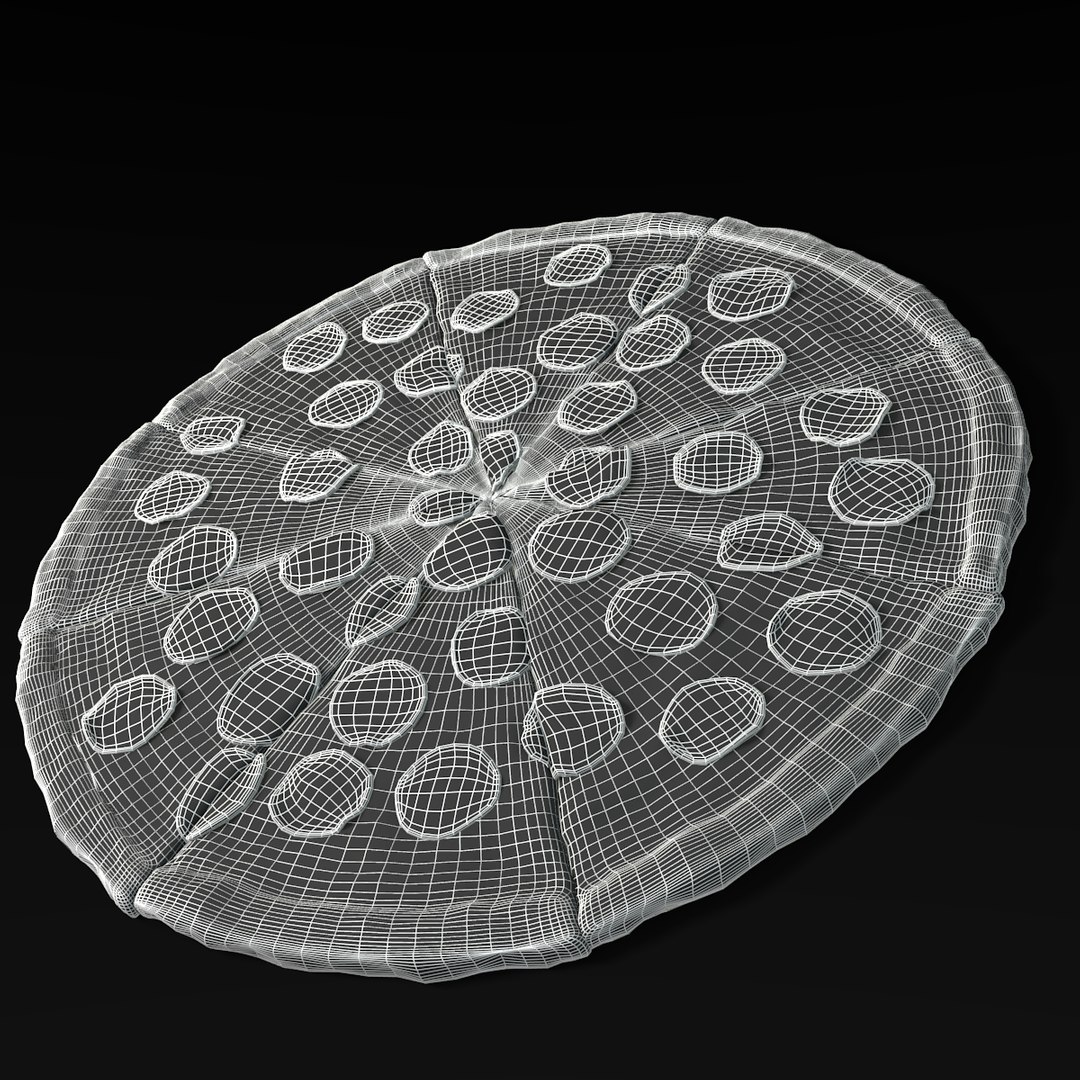 3d model pepperoni pizza https://p.turbosquid.com/ts-thumb/v2/LJyBYL/3Of8u3YI/wireframe/png/1329520844/1920x1080/fit_q87/4f8e97d6292140483c609e412e6ed62862309c84/wireframe.jpg