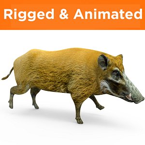 wild boar rigged animation 3D model