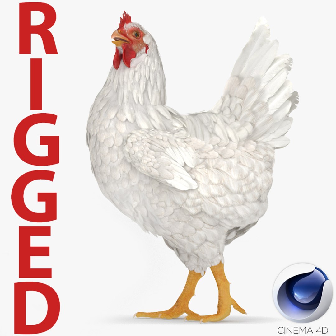 White Chicken Rigged for Cinema 4D 3D model preview
