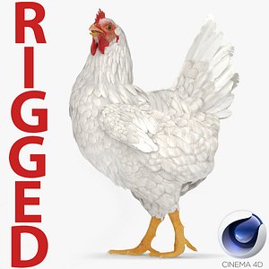 White Chicken Rigged for Cinema 4D