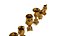 Golden VaseSet2