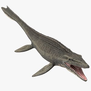 3D Mosasaurus Rigged model
