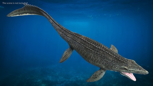 modelo 3d Mosasaurus aparejado - TurboSquid 1918604