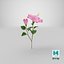 3D flowering hibiscus stem pink