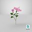 3D flowering hibiscus stem pink