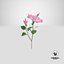 3D flowering hibiscus stem pink