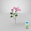 3D flowering hibiscus stem pink