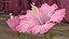 3D flowering hibiscus stem pink