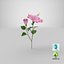 3D flowering hibiscus stem pink