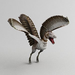 max archaeopteryx