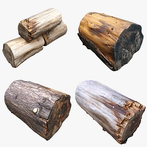 3D Tree Stump Collection 09