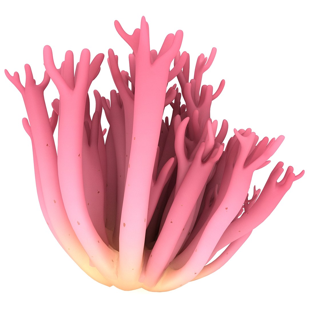3ds violet branched coral fungus https://p.turbosquid.com/ts-thumb/v3/8Ba9Gr/BKbvFRCW/156309_violet_branched_coral_fungus_007/jpg/1363702265/1920x1080/fit_q87/6a0c1c94371e442adb0dbc7a8b0d43656396a25c/156309_violet_branched_coral_fungus_007.jpg