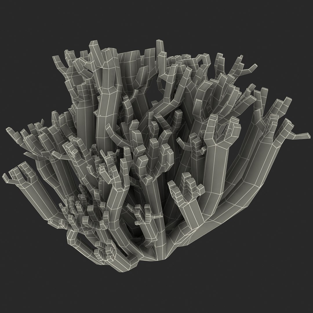 3ds violet branched coral fungus https://p.turbosquid.com/ts-thumb/v3/8Ba9Gr/EXFUMw9F/156314_violet_branched_coral_fungus_012/jpg/1363702278/1920x1080/fit_q87/fadda34fabf0e79f4b4088465c267ffbea69cd63/156314_violet_branched_coral_fungus_012.jpg