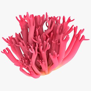 3ds violet branched coral fungus