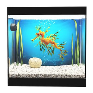 3D aquarium leafy sea dragon model