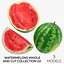 Wassermelonen Whole and Cut Collection 02 - 3 Modelle