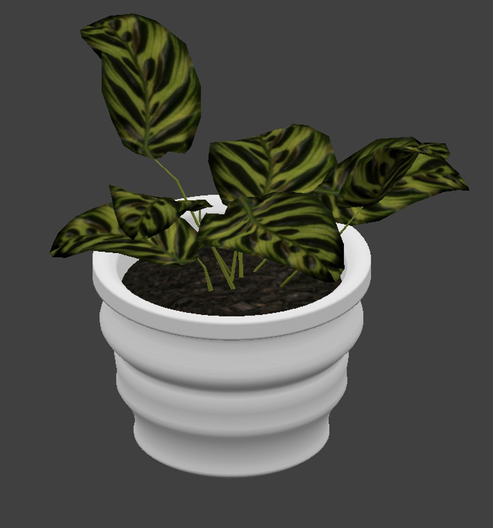 plant interior 3D model https://p.turbosquid.com/ts-thumb/v3/CvmDRy/FZ2AUQT9/render4/png/1499204458/1920x1080/fit_q87/19129bb987f524a31564bd28cd5ebe5b49cbb9f8/render4.jpg