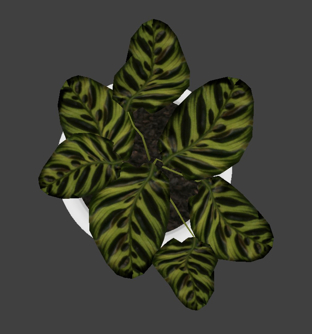 plant interior 3D model https://p.turbosquid.com/ts-thumb/v3/CvmDRy/QzN8gEzH/render6/png/1499204603/1920x1080/fit_q87/8234b28aeed7d3d633ea09d49c4385321c61dfbc/render6.jpg
