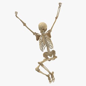 Real Human Female Skeleton Pose 93(1) model