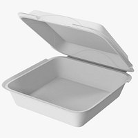 Styrofoam To Go Box Open