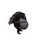3D model Chubby Fat Gorilla Rigged 3D model