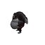 3D model Chubby Fat Gorilla Rigged 3D model