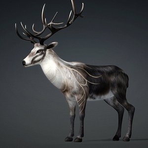 Deer-E4 3D model