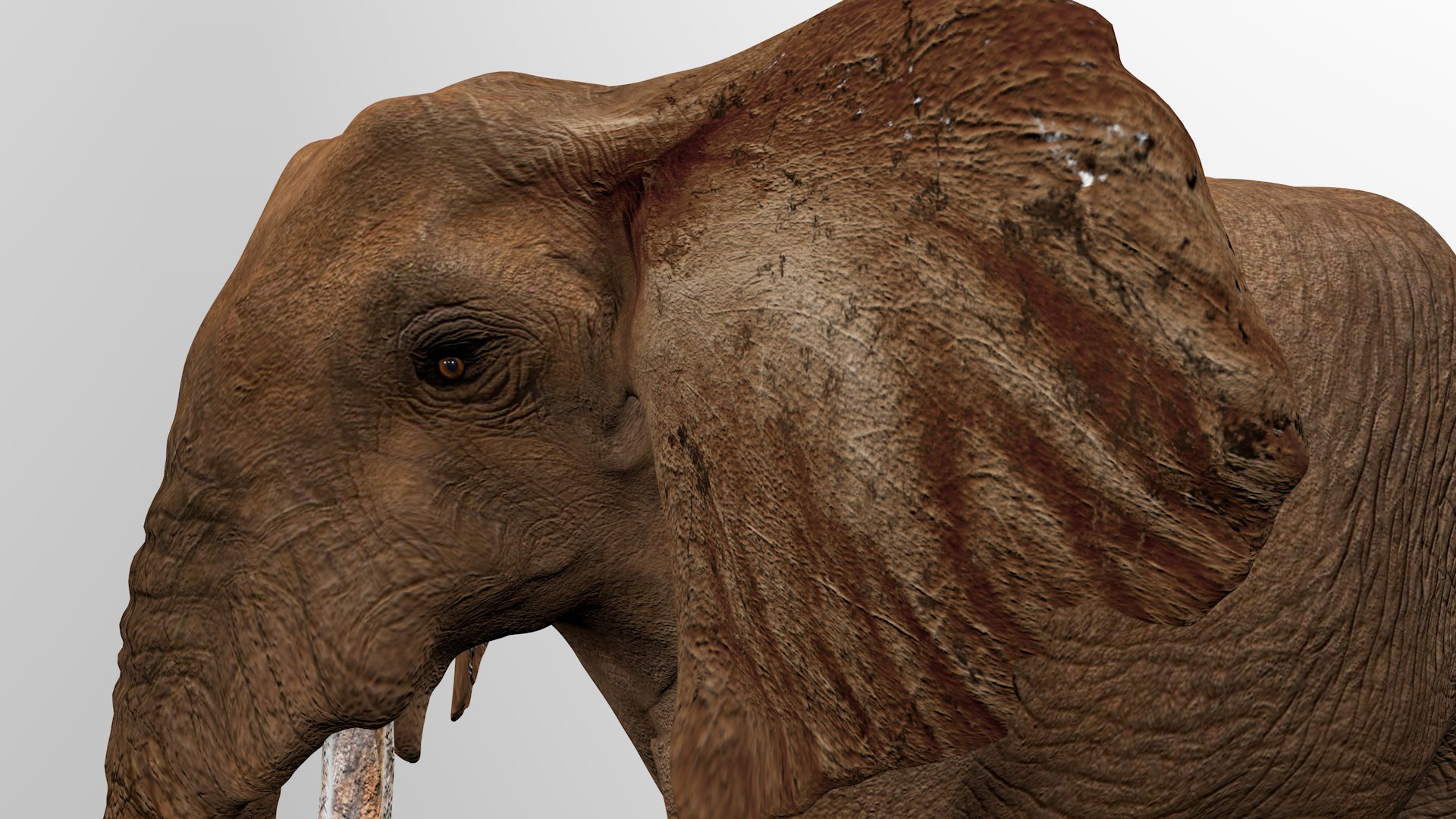 3D African Elephant L2251 - TurboSquid 2316511