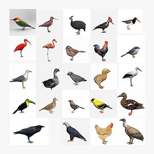 20 Plus Birds Collection