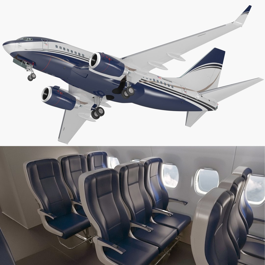 Boeing 737-600 with Interior Generic Rigged 3D model preview