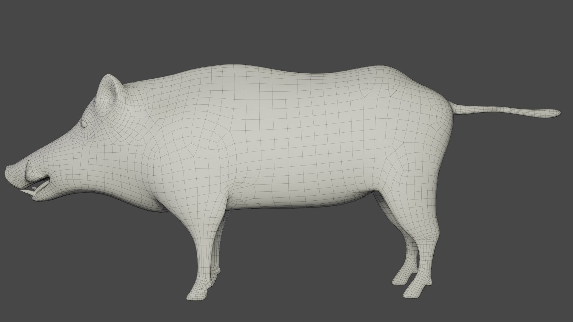 3D Fur Wild Boar V08 Rigged and Animation model https://p.turbosquid.com/ts-thumb/v5/4dJ6WL/8K/wire0001/png/1669378034/1920x1080/fit_q87/ed923743cc8def85b5b8180ffa6bf829d064baca/wire0001.jpg