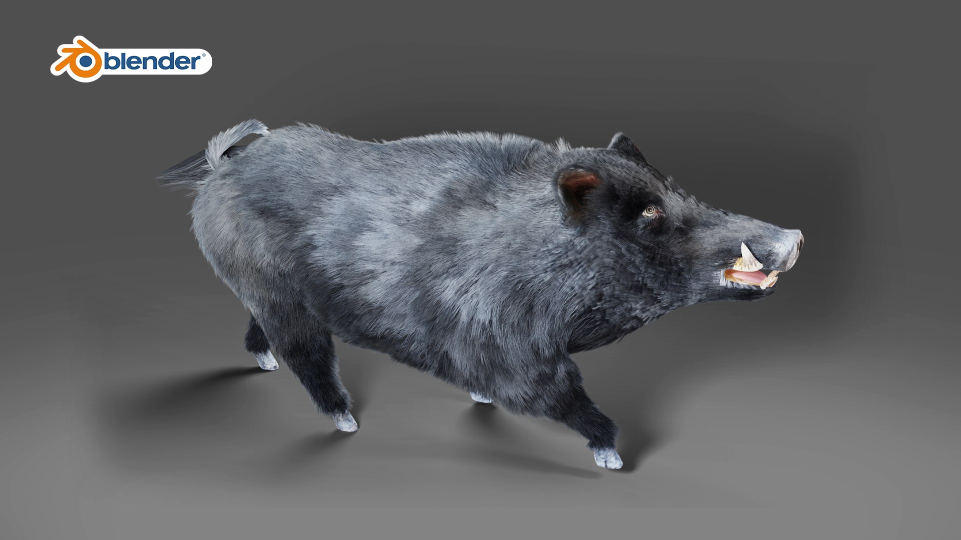 3D Fur Wild Boar V08 Rigged and Animation model https://p.turbosquid.com/ts-thumb/v5/4dJ6WL/a0/04/jpg/1669377734/1920x1080/fit_q87/d6aac30f15bb3faa49d969d9b4e48489f39851c3/04.jpg