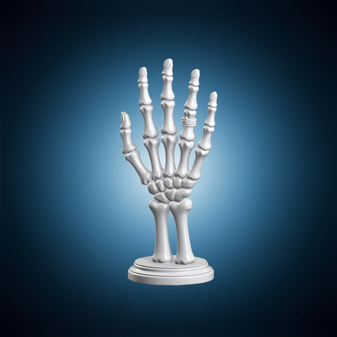 Skeleton Hand Ring Holder 3D Model - TurboSquid 2560104