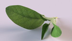 3D leaf sage sprig plant