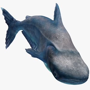 Rigged Mekong Giant Catfish 3D model