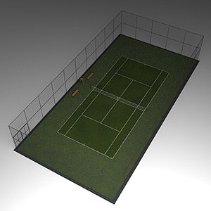 Tennis court grass