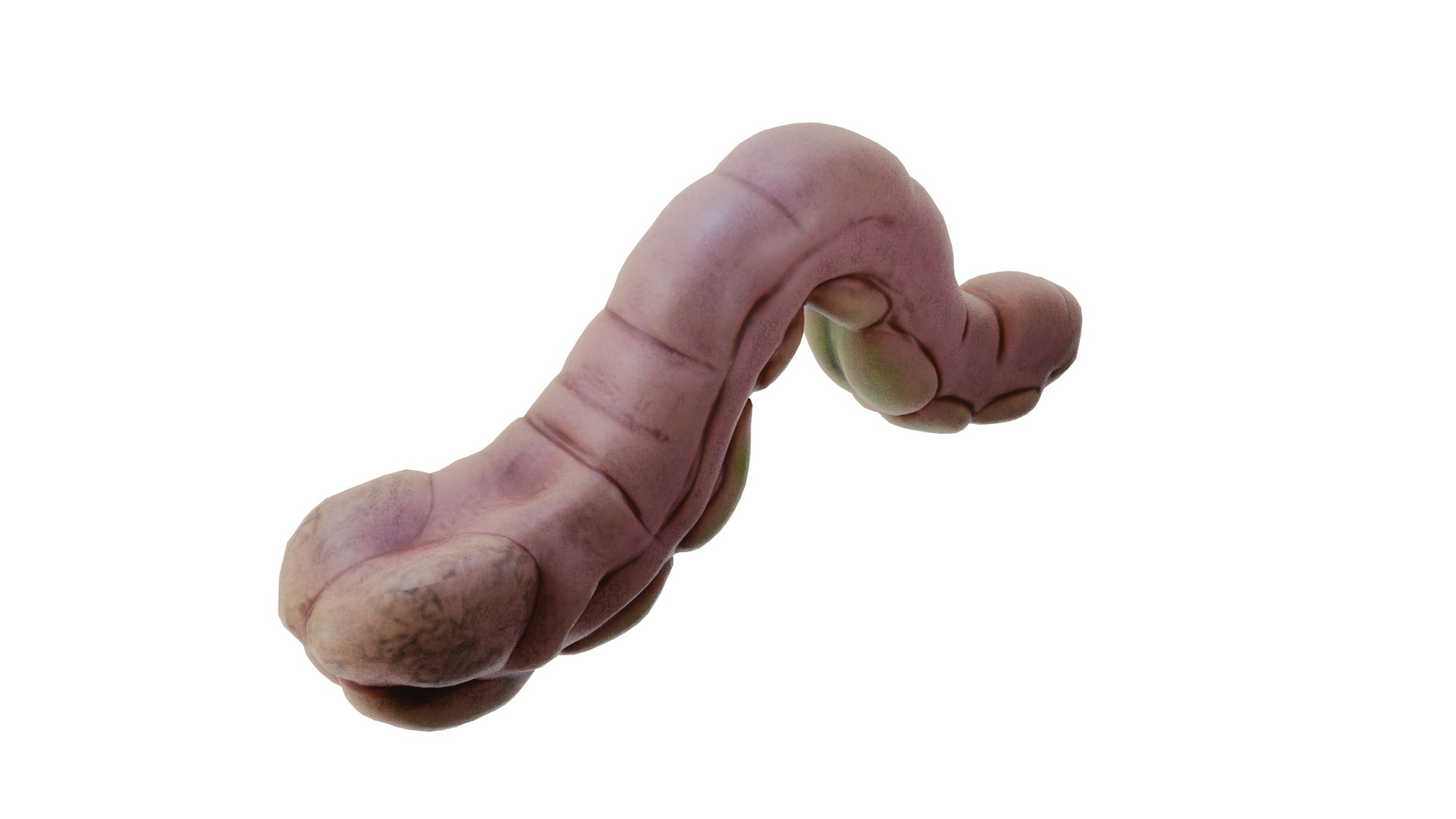 alien creature 3D model https://p.turbosquid.com/ts-thumb/v5/bxfTy7/RqVQXnsR/diff/png/1530226869/1920x1080/fit_q87/c9c2900db8fc248c9c96b2b9465fb0144cc9bb95/diff.jpg