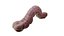 Alien Worm